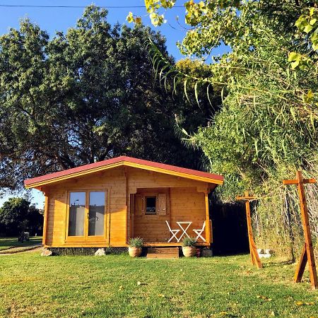 Woodhouse Βίλα São Pedro do Estoril Εξωτερικό φωτογραφία