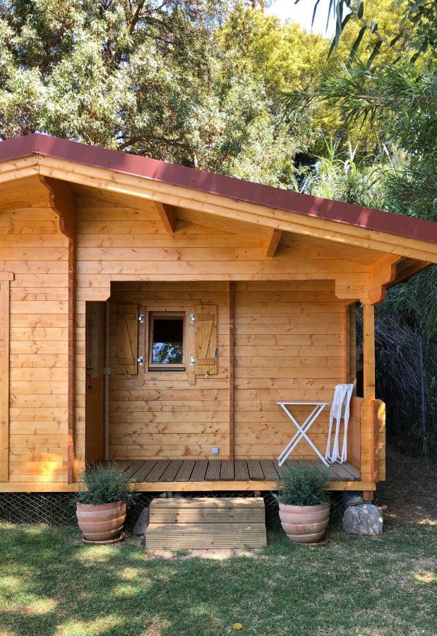 Woodhouse Βίλα São Pedro do Estoril Εξωτερικό φωτογραφία